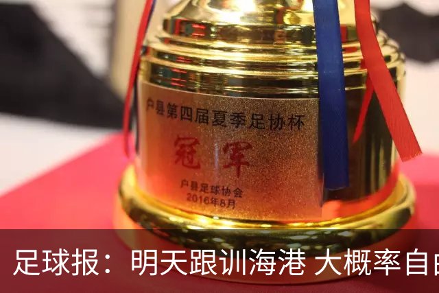 足球报：明天跟训海港 大概率自由身加盟 外援要补强