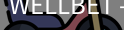 WELLBET官方网站
